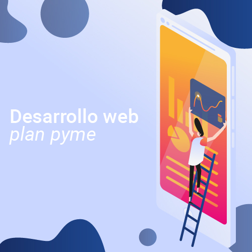 Desarrollo web plan pyme