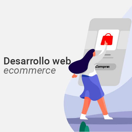 Desarrollo web plan ecommerce